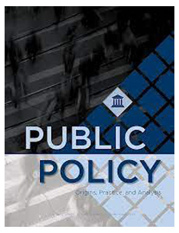 Public Policy: Origins, Practice, and Analysis