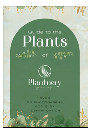 Guide to the Plant of Plantnery Green Café